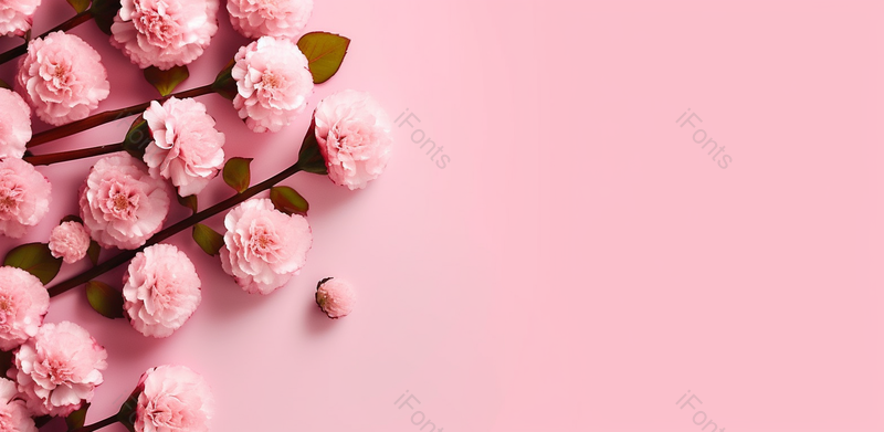 文艺|清新